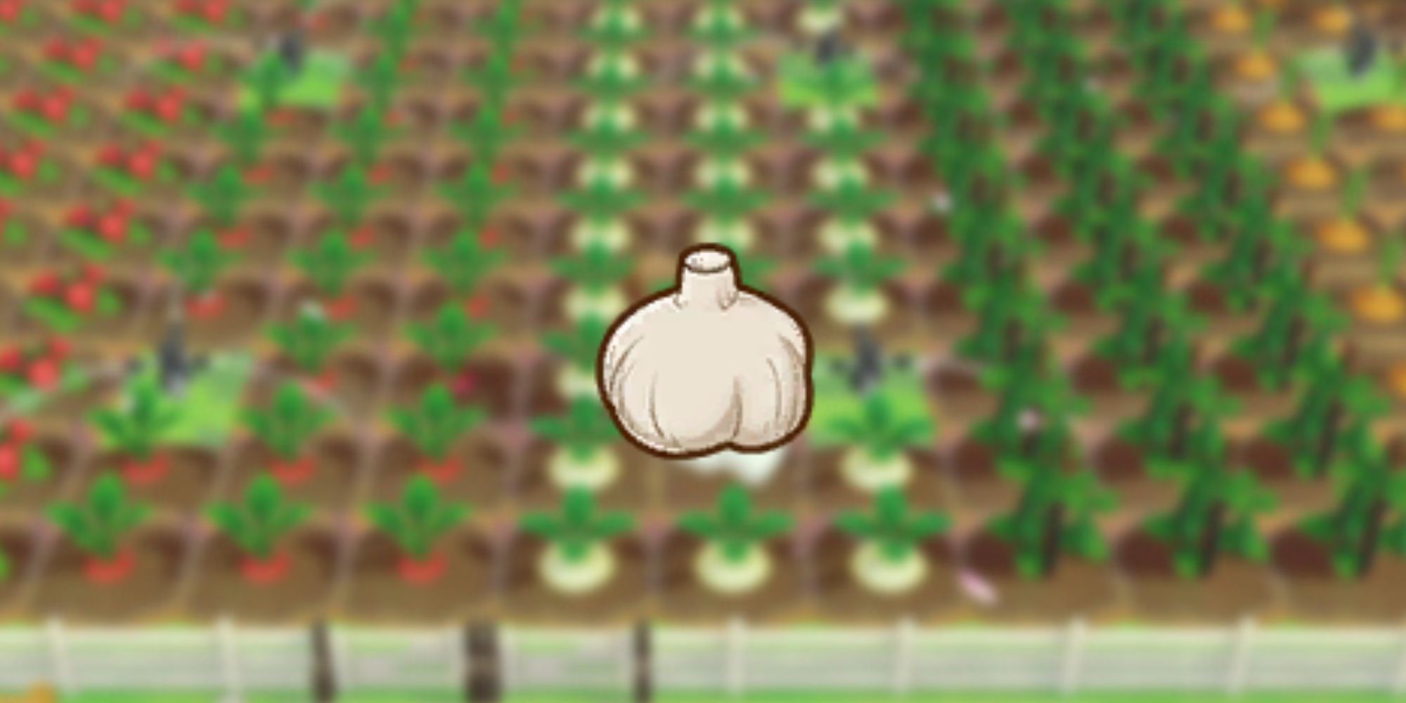 Garlic as it would be seen in players inventory over blurred background of crops in game