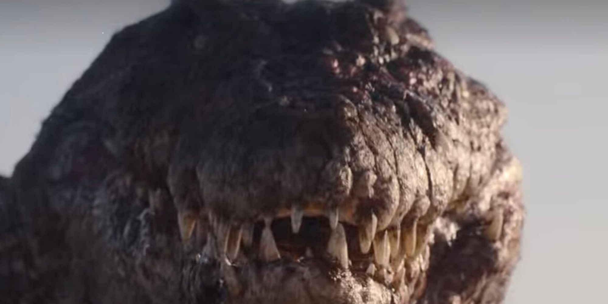 Giant Crocodile In Netflix's Resident Evil