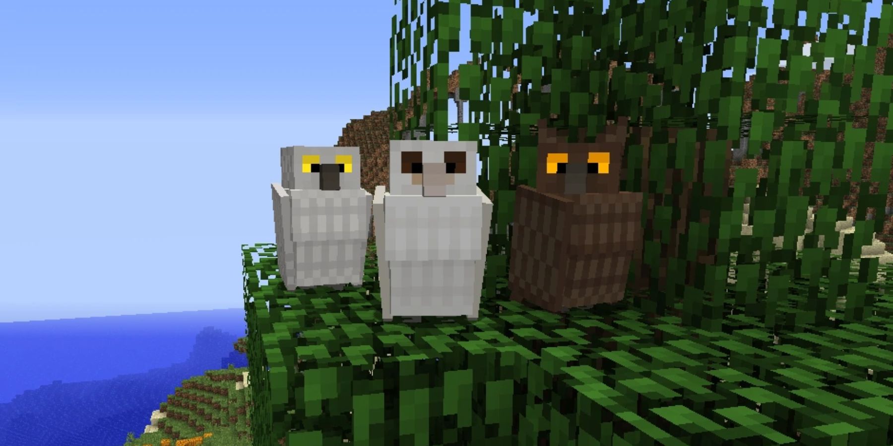 Owls in Minecraft