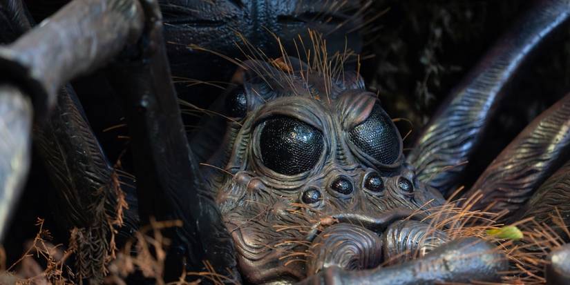 Harry Potter Experience