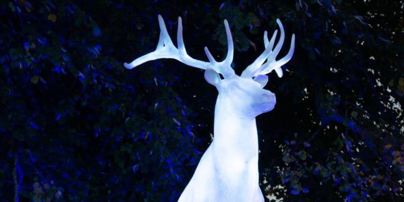 Harry Potter Experience