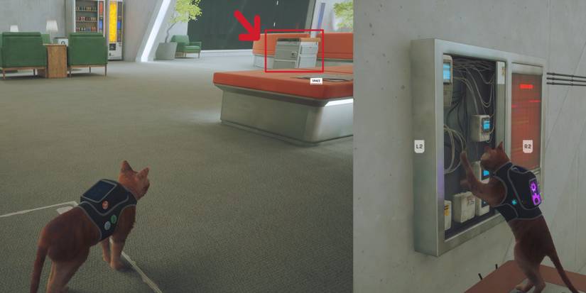 How to enter control room in stray