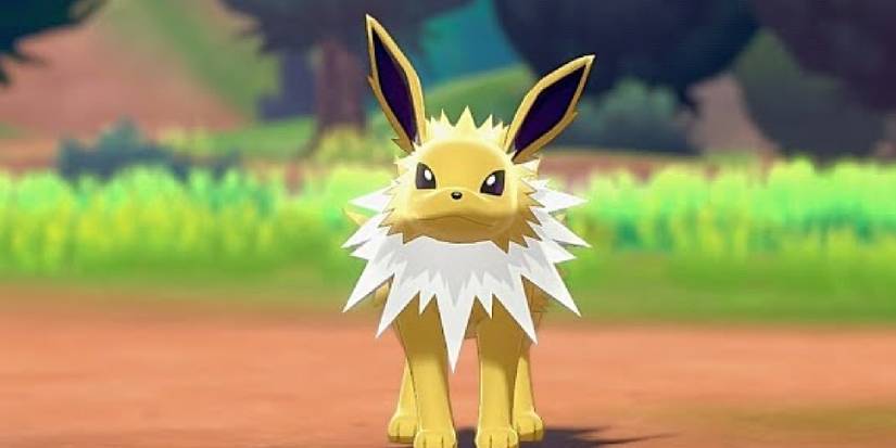 Jolteon facing the camera in Pokemon Camp in Sword & Shield