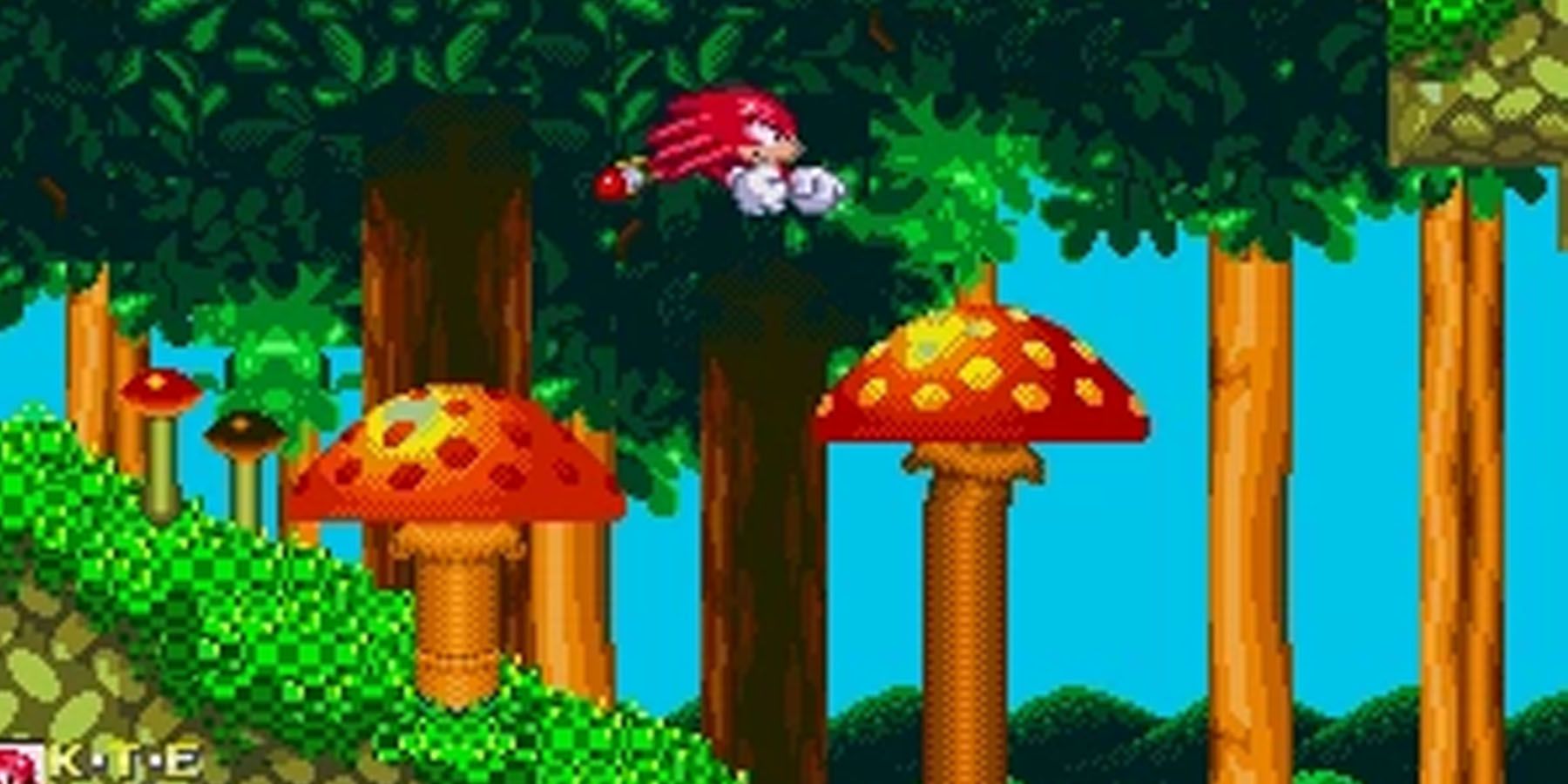 Knuckles gliding in mid air