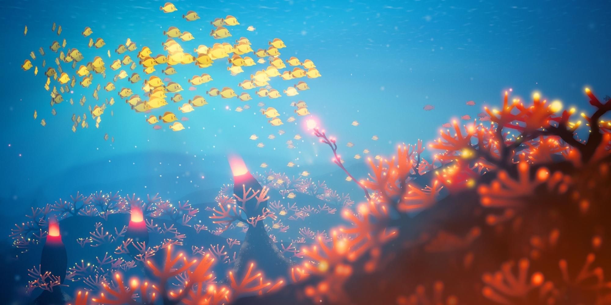 underwater scene in Koral