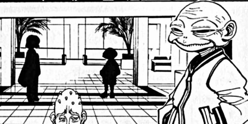 Hunter X Hunter: The Zoldyck Family, Explained
