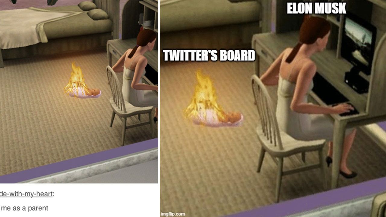 Meme_0001_Sims Burning Baby Bug