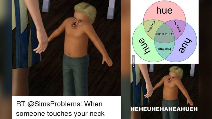 Meme_0003_Sims Huehue Meme