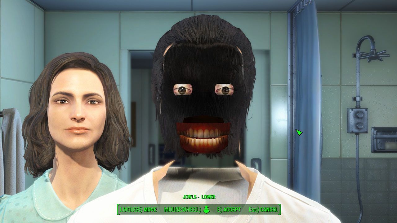 Meme_0004_Fallout 4 Face Bug