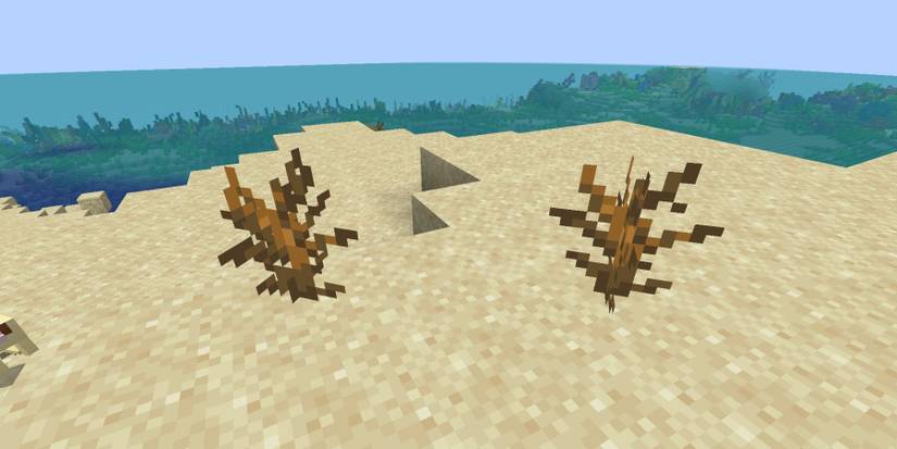 Minecraft Dead Bushes In Desert