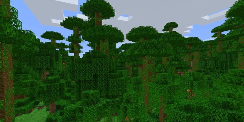Minecraft Jungle Biome