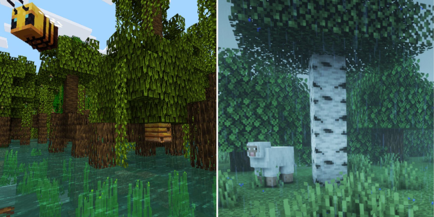 Minecraft Mangrove Trees And Birch Tree