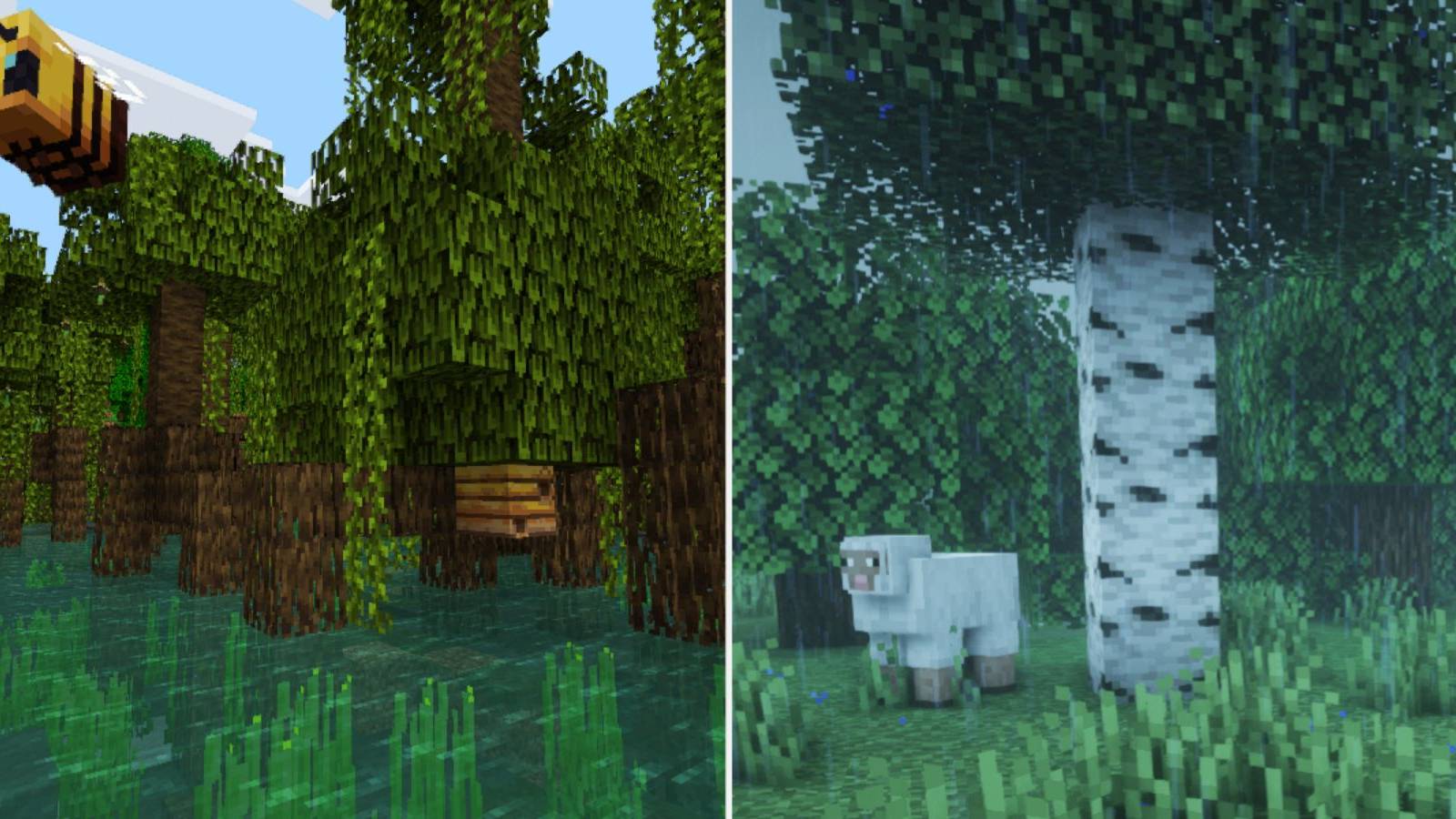 Minecraft Mangrove Trees And Birch Tree