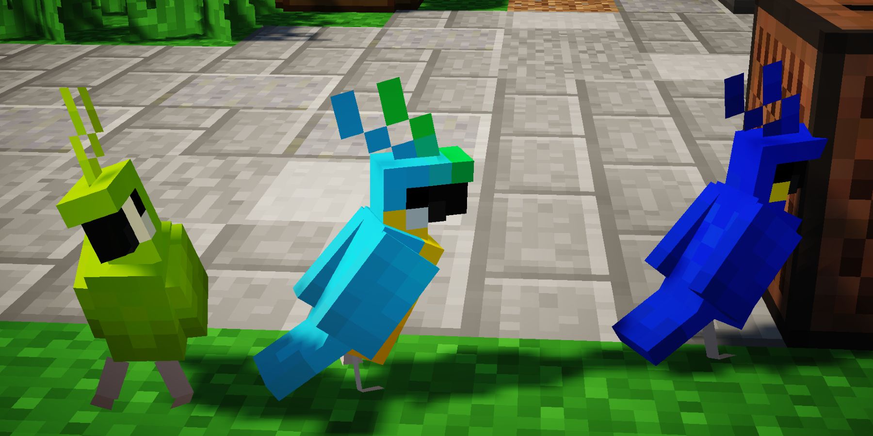 3 color variations of parrots from Minecraft next to a jukebox
