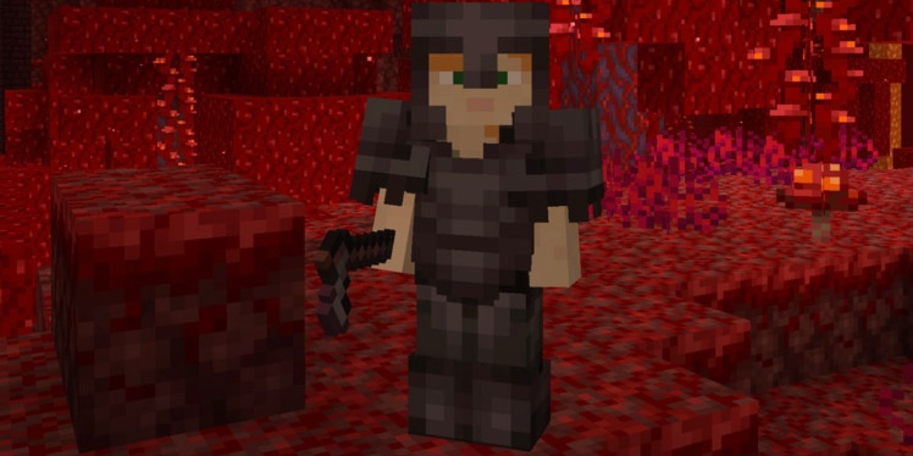 Minecraft Player With A Netherite Hoe