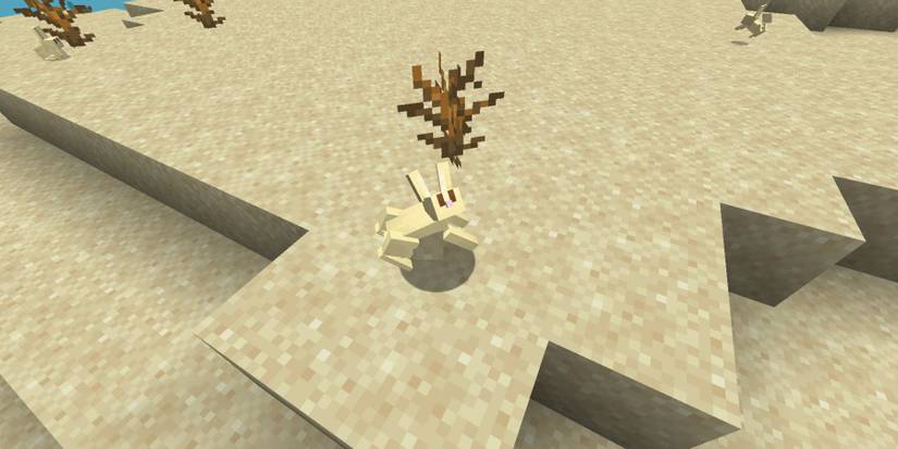 Minecraft Rabbit