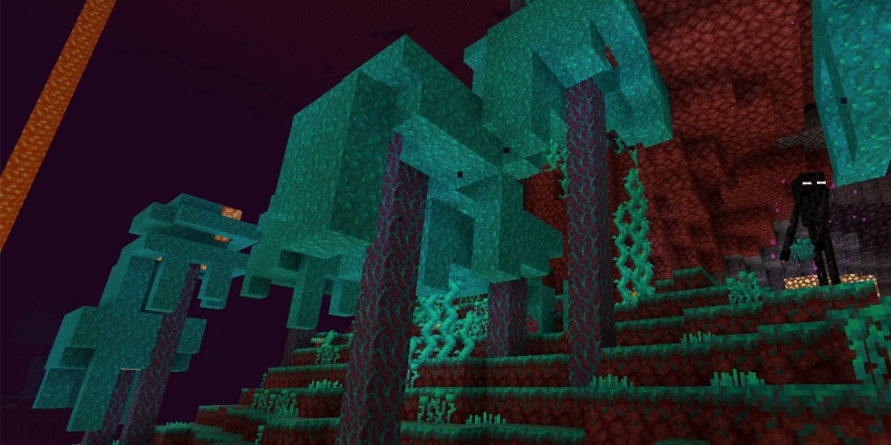 Minecraft Warped Fungus Forest