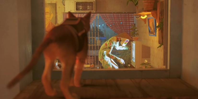 Momo fixing the TV in stray