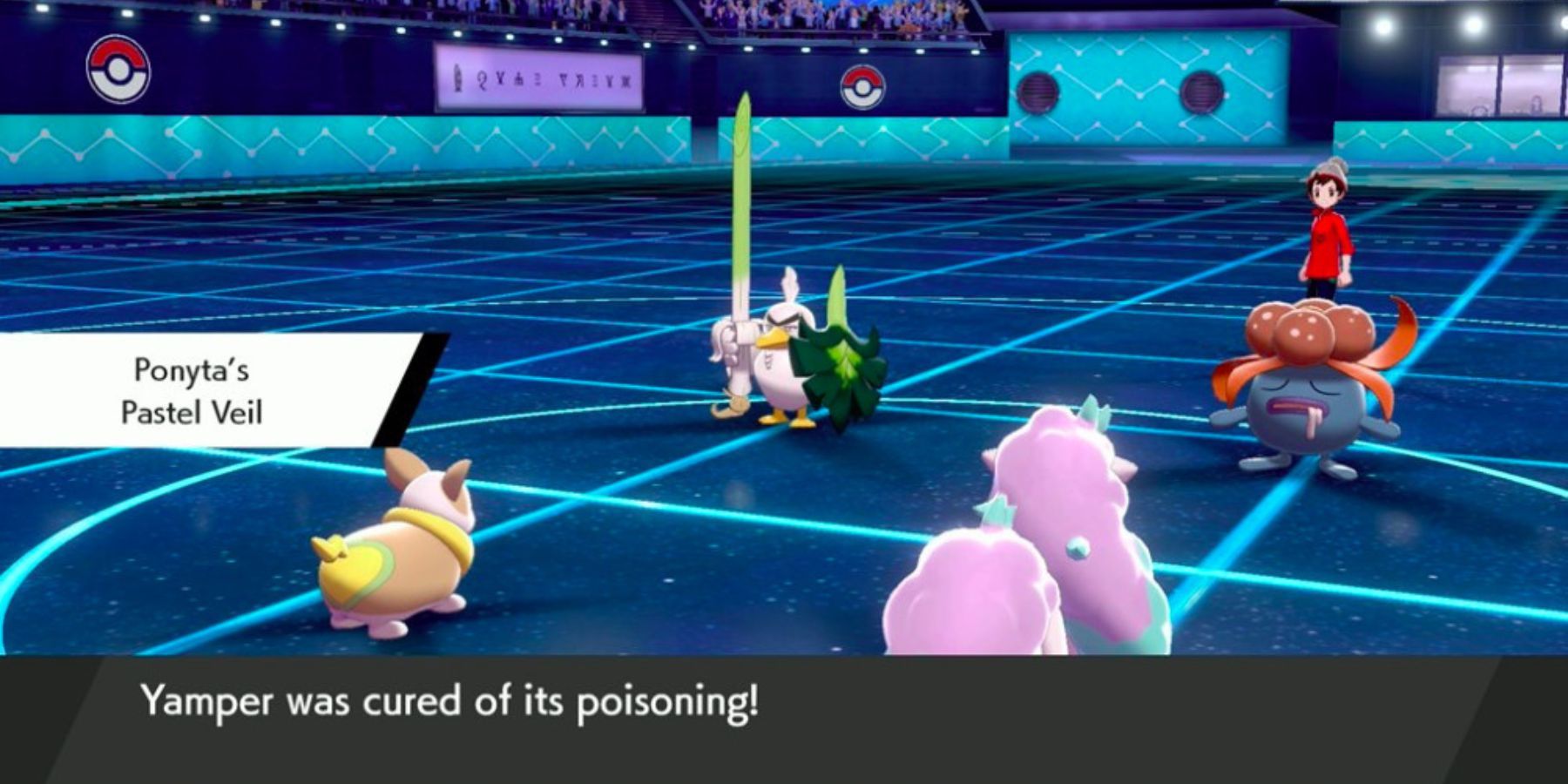 Pokemon Double Battle