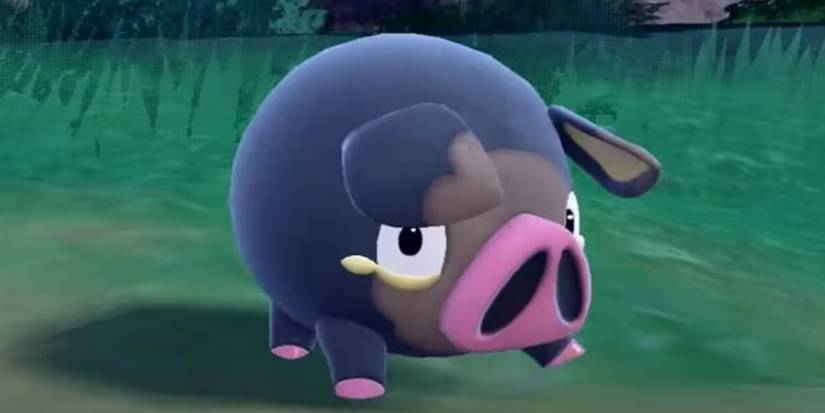 Pokemon Farm Lechonk