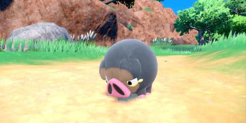 Pokemon Scarlet and Violet Fan Makes Crochet Version of Lechonk