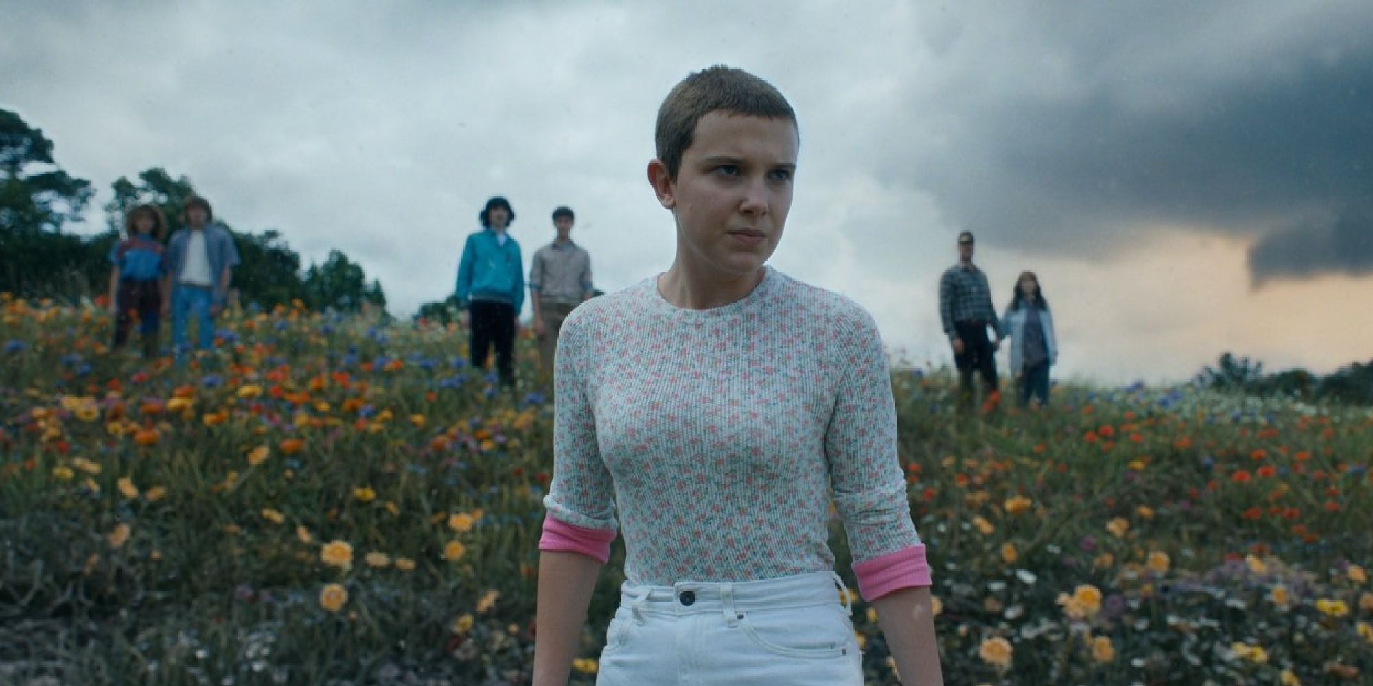 Eleven looking out at Hawkins in a field of flowers with Nancy, Jonathan, Mike, Will, Hopper, and Joyce