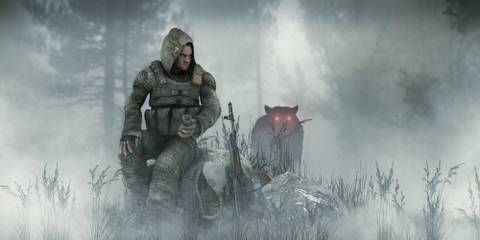 A STALKER sits on a rock while being stalked by a wolf