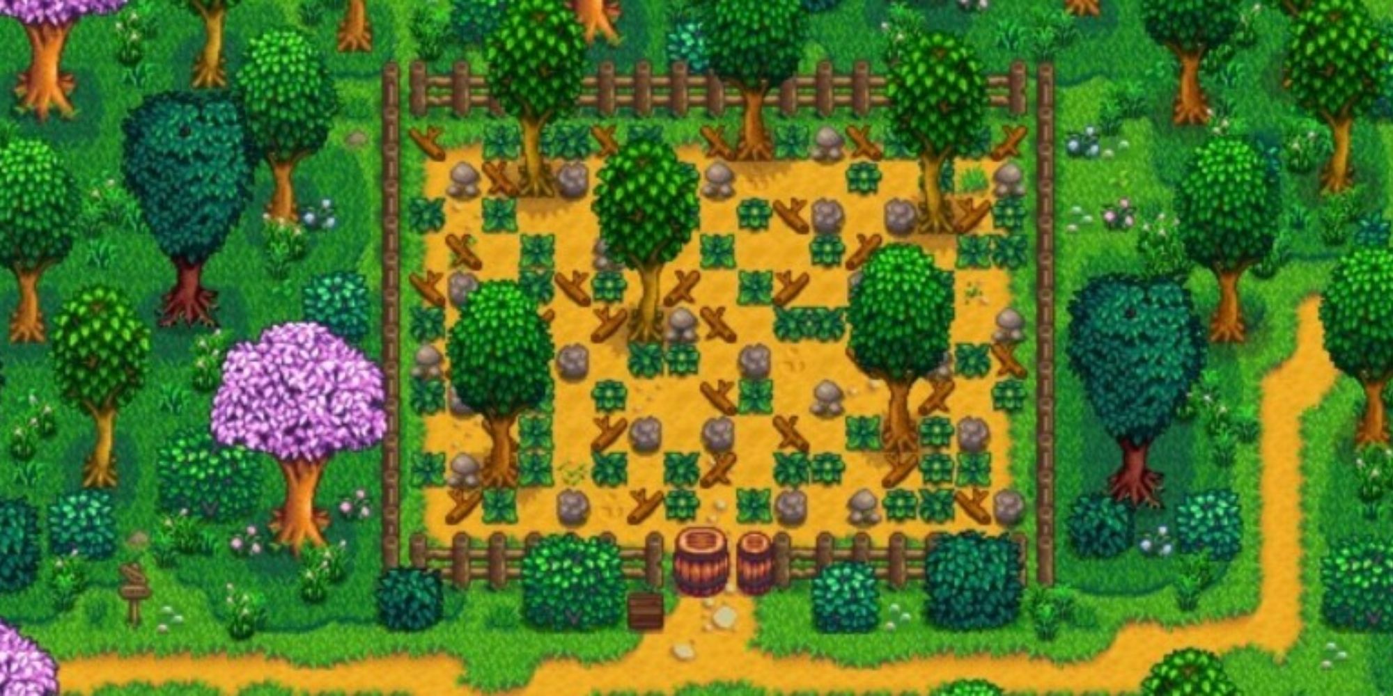 The Old Community Garden in Stardew Valley Expanded