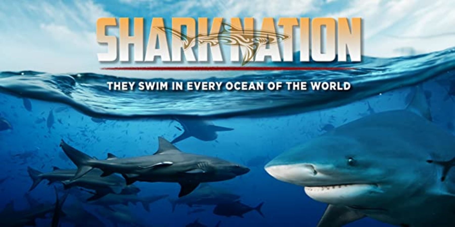 Shark Nation (2013) promo poster