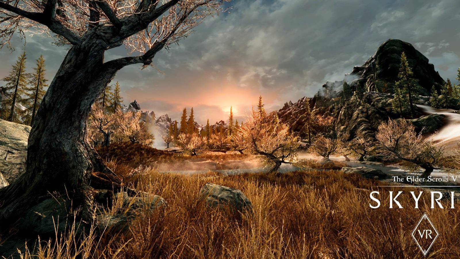 Skyrim VR