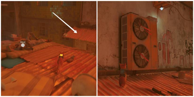 Sleeping robot in stray