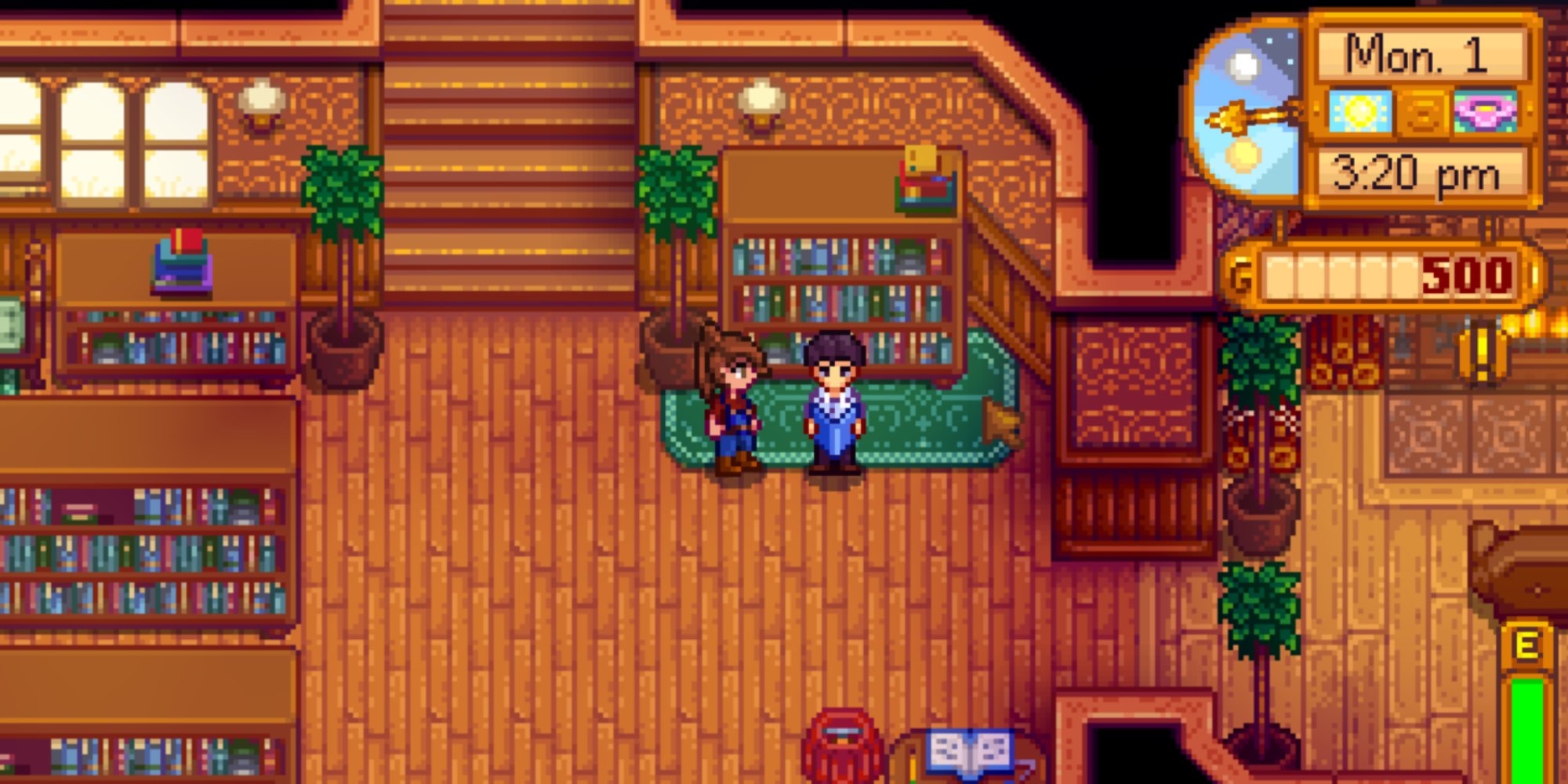 The library in the Jenkins Residence, Stardew Valley Expanded