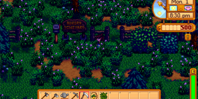 Aurora Vineyard in Stardew Valley at night