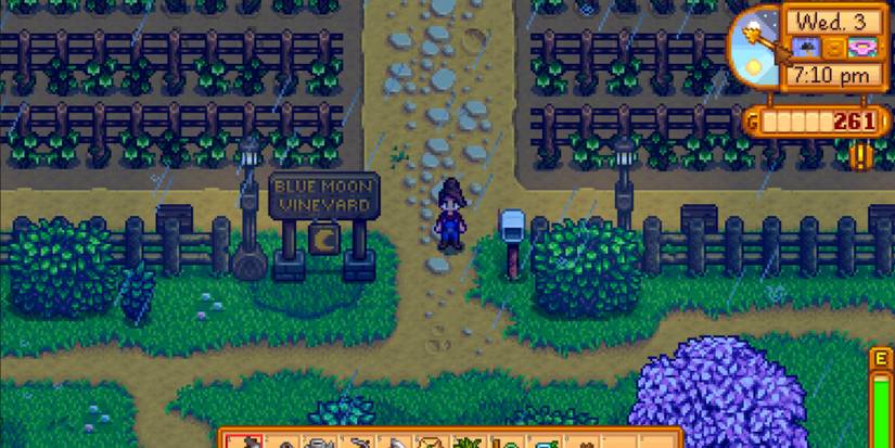 Stardew Valley Blue Moon Vineyard