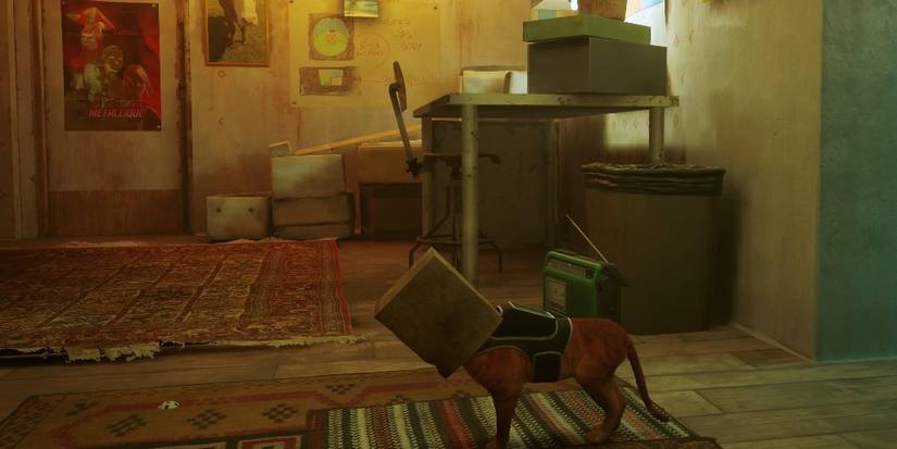 Paperbag cat in Stray