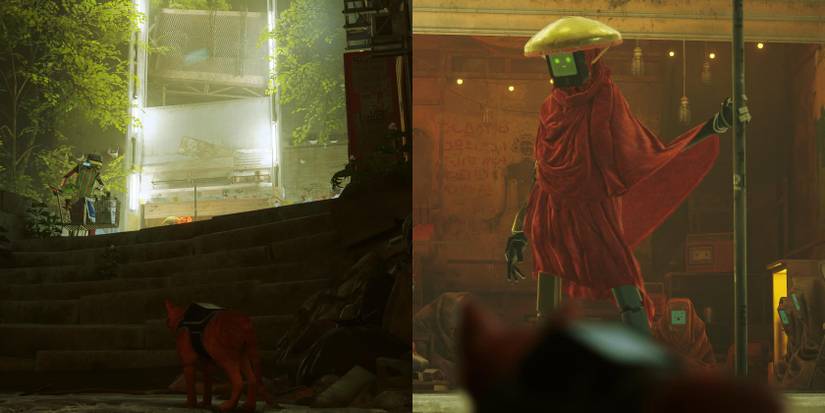 stray-theslums-guardian-location