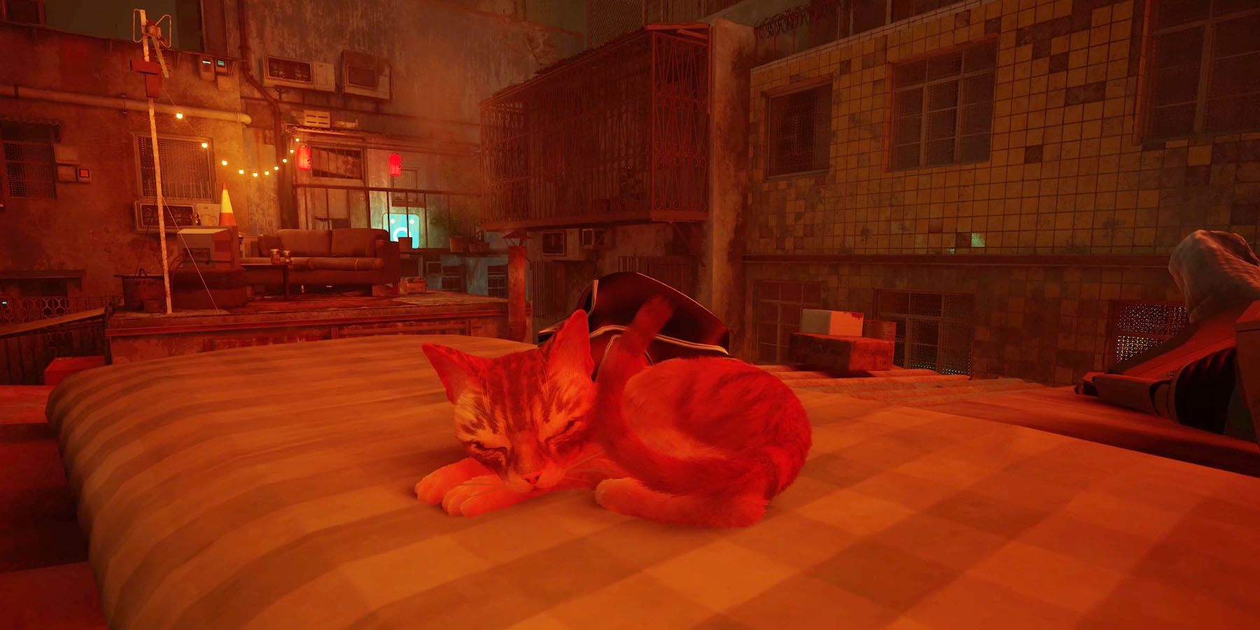 Cat Game 'Stray' Introduces Three Real Life Feline Stars