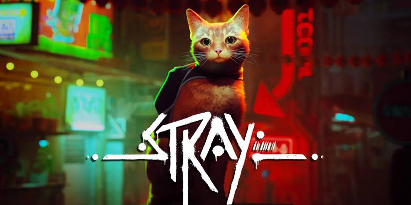 Stray Title Card