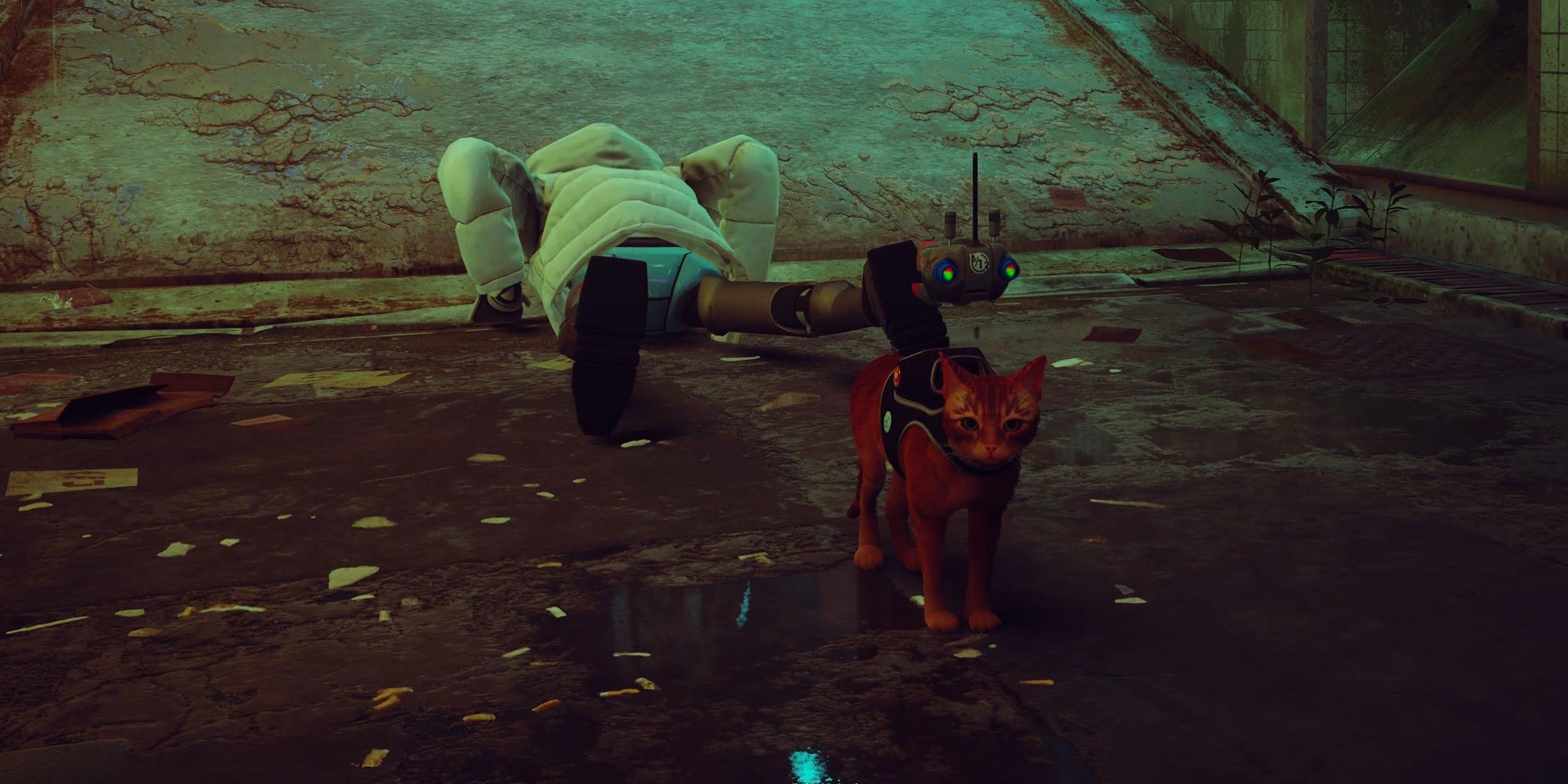 Полосатый кот стоит на улице с роботом, который только что споткнулся о него, лежащего лицом вниз на земле в Stray.