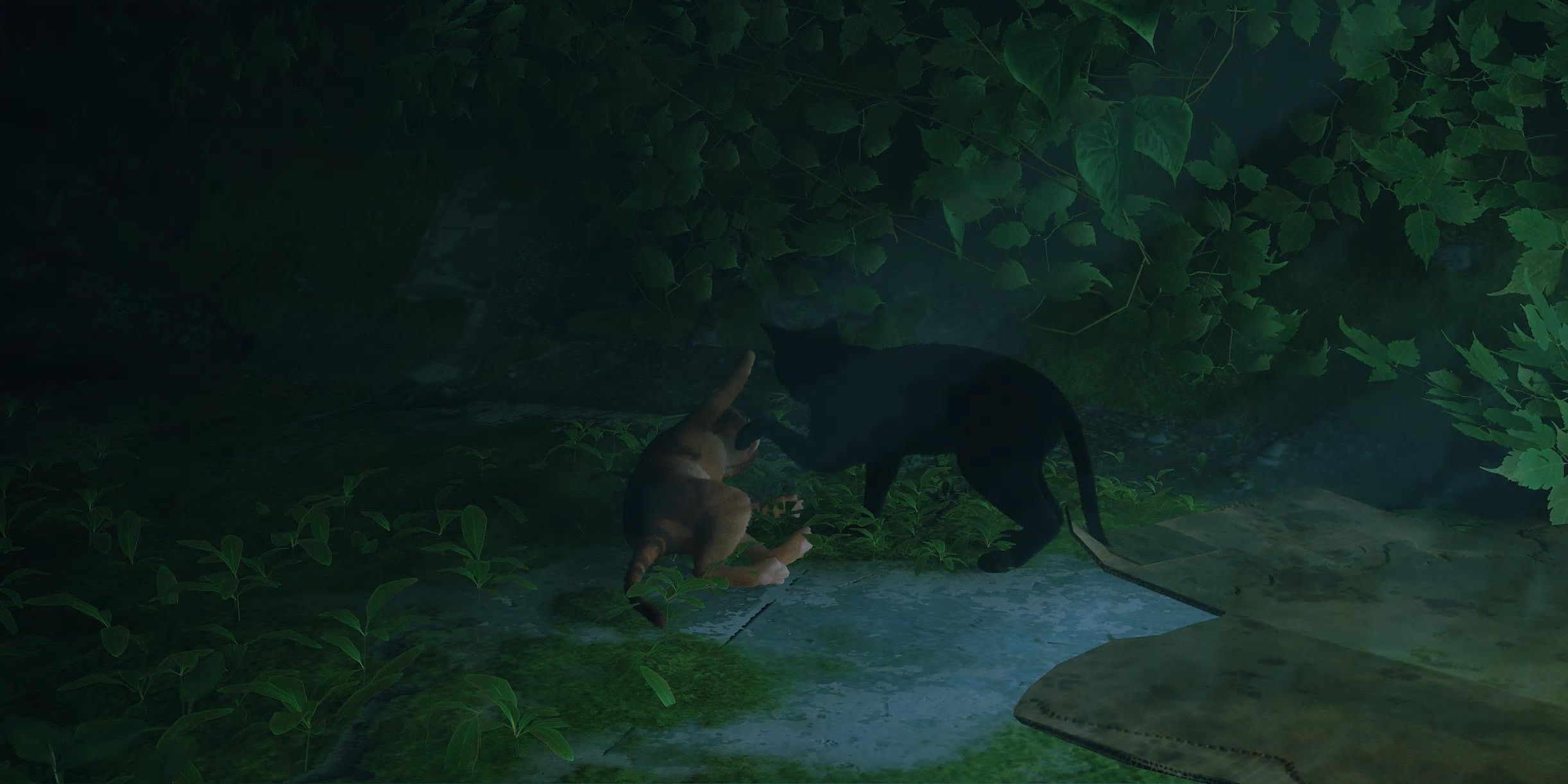 Две дерутся кошки, лежащий полосатый кот и черный кот на ногах, в Бродячей