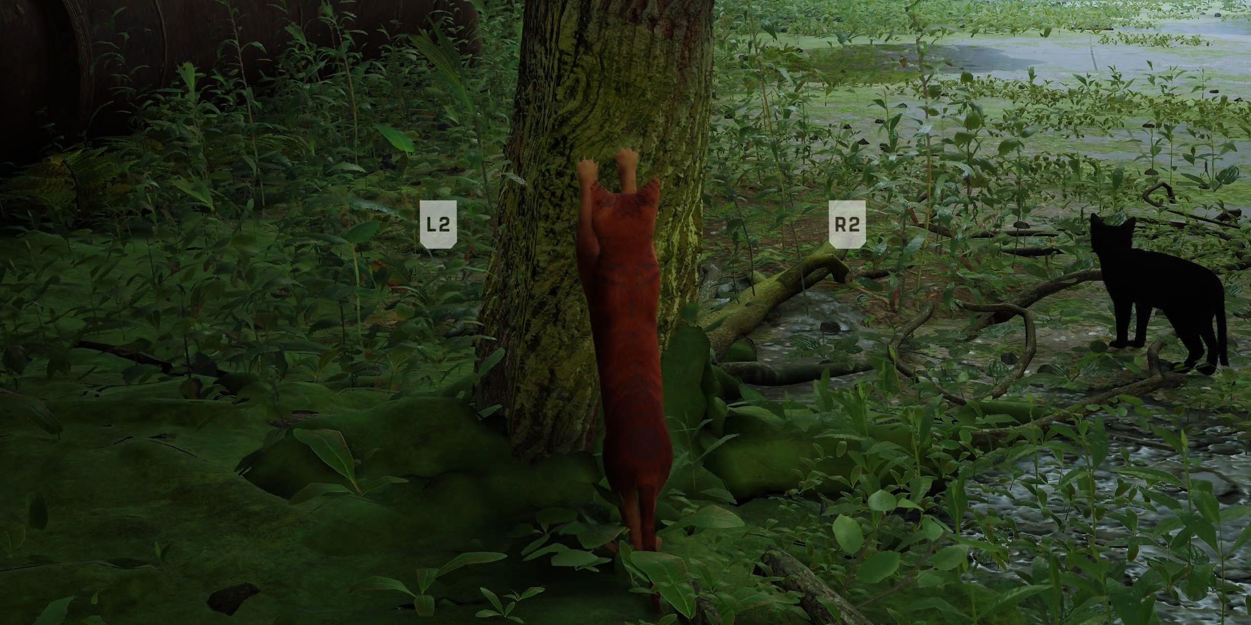 Полосатый кот царапает дерево с подсказками-кнопками по бокам 