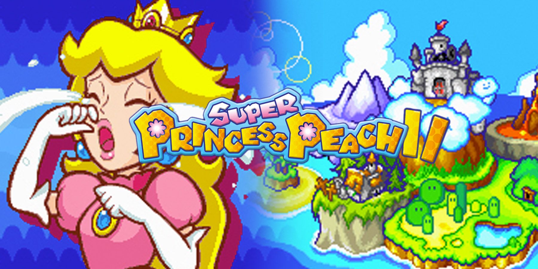 Super Princess Peach 2 Case