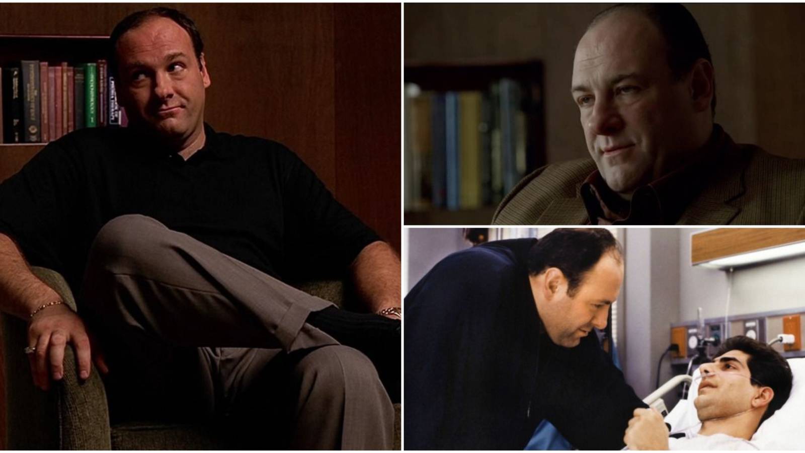 The Sopranos Tony's Best Quotes