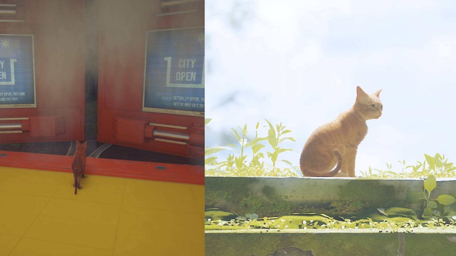 The door to the outside in stray