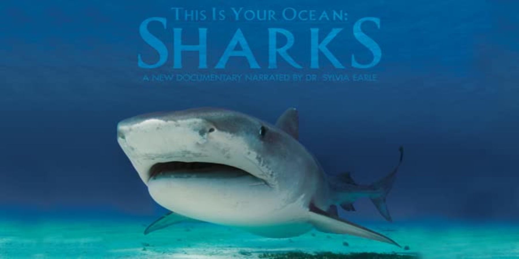 This Is Your Ocean Sharks (2012) title screen
