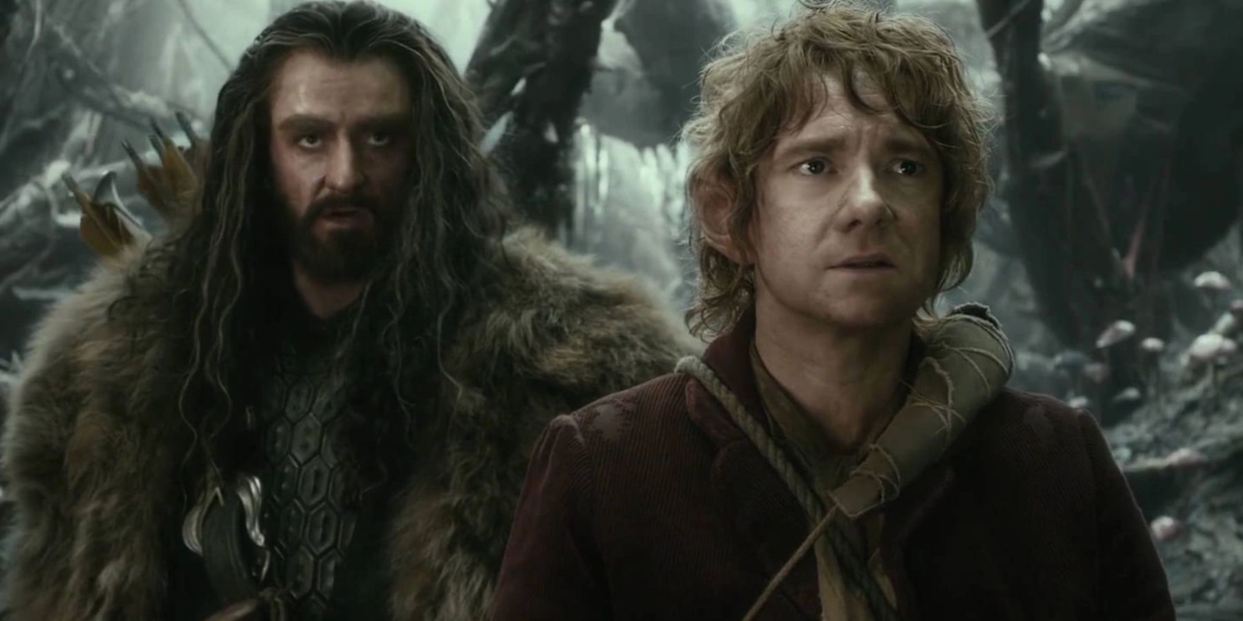 Thorin and Bilbo (1)