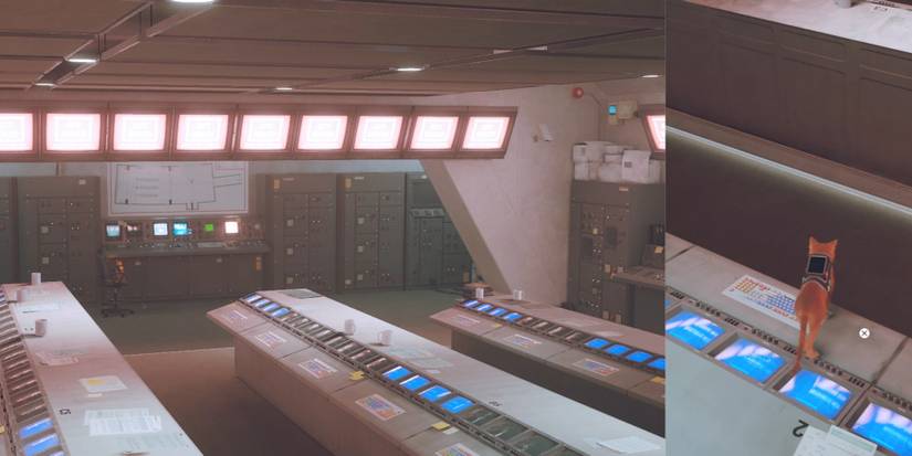 Three rows of computers in stray