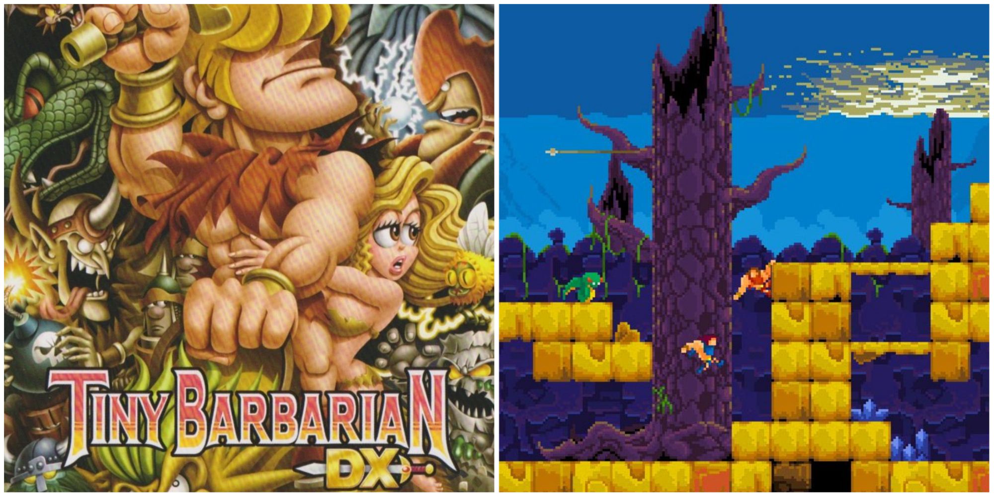 split image of Tiny Barbarian DX box art gameplay Switch