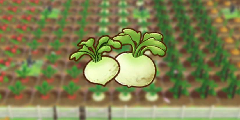 Turnip and giant turnips as they would be seen in Players inventory over blurred background of growing crops in game