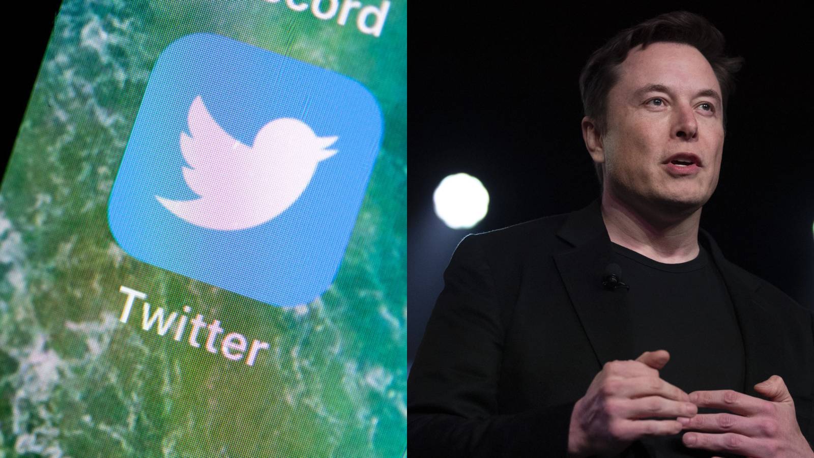 Twitter Plans to Sue Elon Musk After He Backs Out of Deal